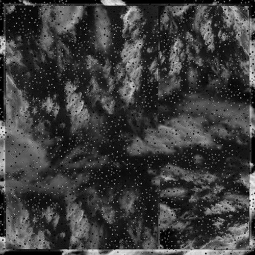 buy harrods isetan lanecrawford black fashion silk scarf online paris tiapei tokyo