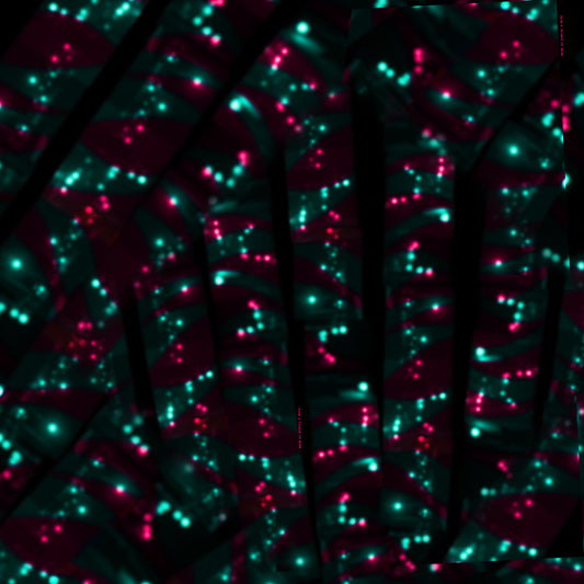 Buy beautiful luxury big black scarves for women & men in paris, tokyo & our online scarf shop. Ready for Dover street market, Taittinger & Deutz!