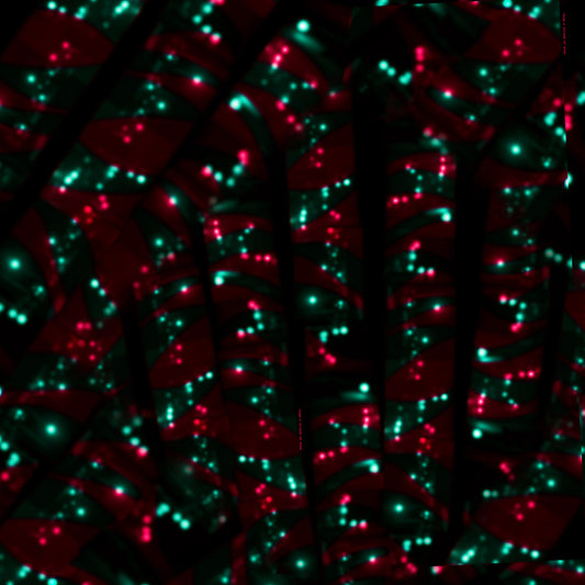 Shop black silk scarf styles for women as luxury accessories online & in Paris! at David Jones & Harrods.