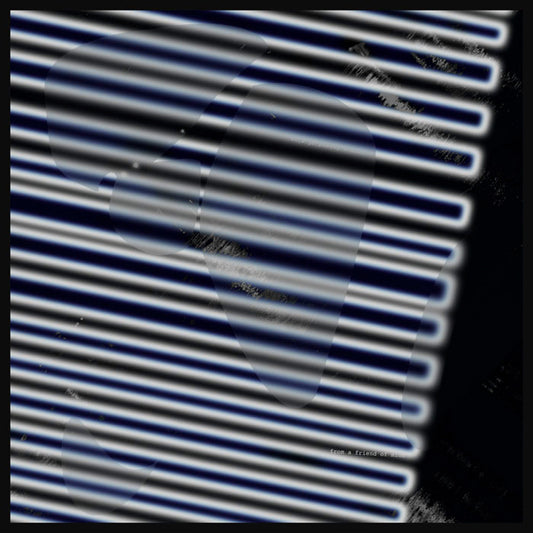 buy fashion silk chiffon scarf online paris taipei tokyo 送女生禮物推薦 法式精品雪紡絲巾 義大利製