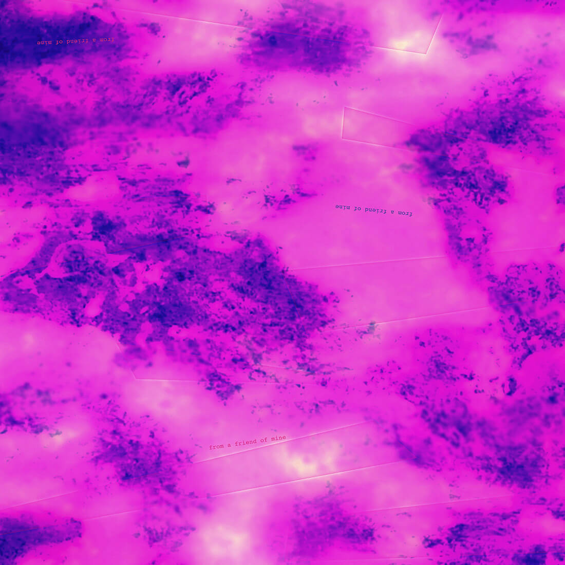 Fuchsia gift silk scarf for women; buy online paris taipei tokyo. スカーフ 通販 女性 プレゼント. 桃紅色精品絲巾.