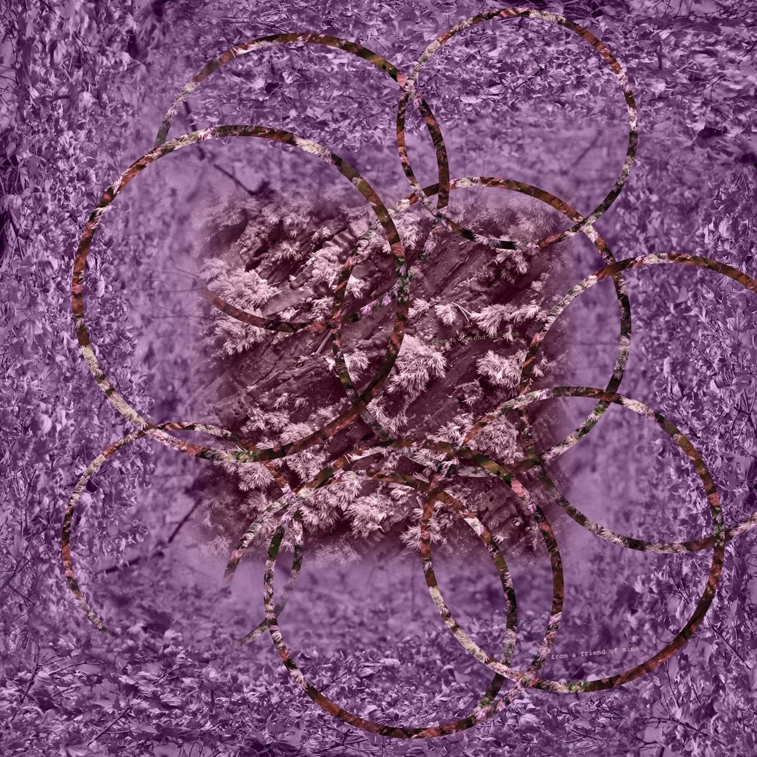 high fashion scarf from a friend of mine boon paris taipei tokyo