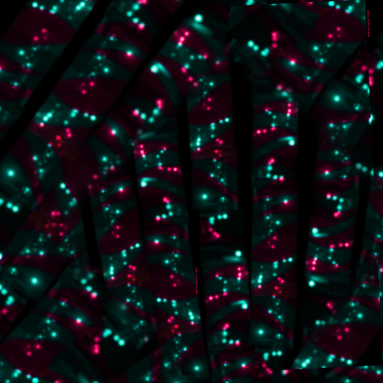 Buy beautiful luxury big black scarves for women & men in paris, tokyo & our online scarf shop. Ready for Dover street market, Taittinger & Deutz!