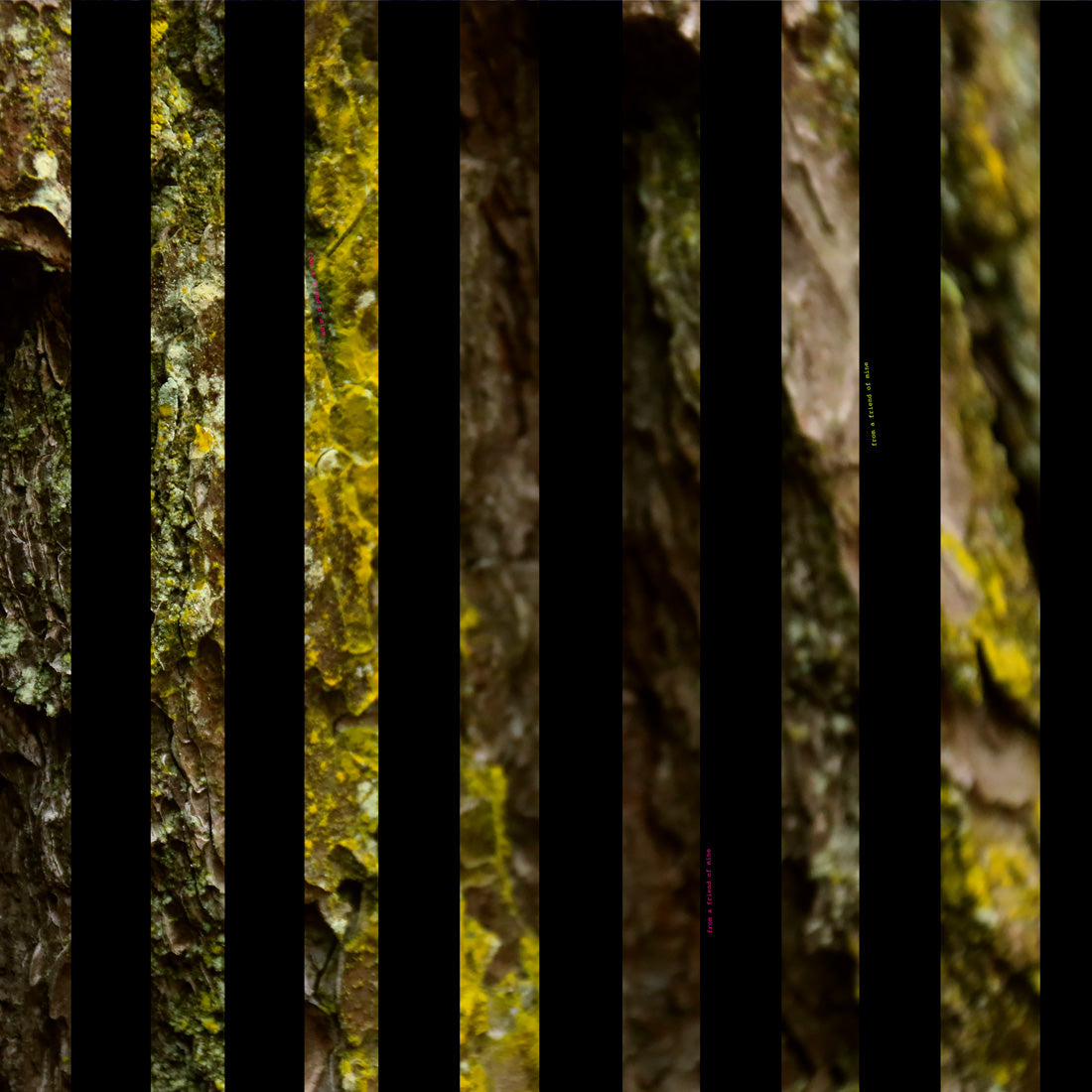 fashion cotton scarf black stripes from a friend of mine online paris taipei tokyo