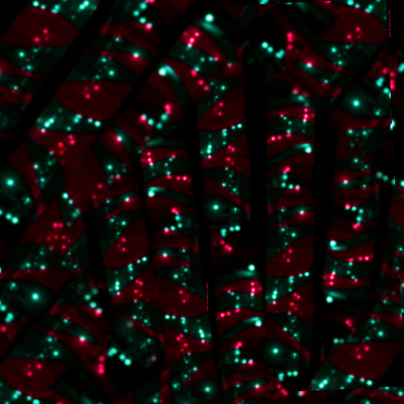 Shop black silk scarf styles for women as luxury accessories online & in Paris! at David Jones & Harrods.