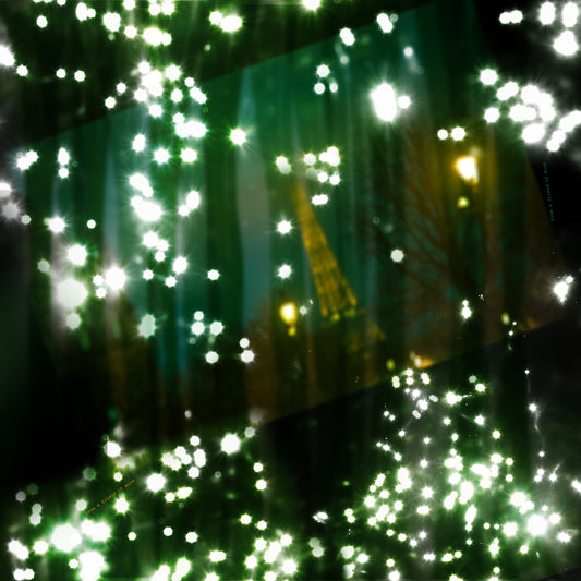 silk scarf from a friend of mine paris nuit