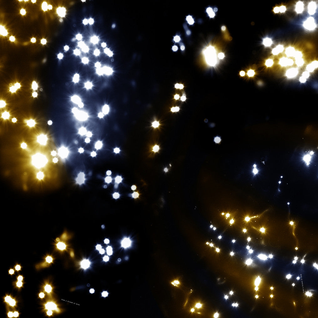 Shop beautiful Bandana with good quality at reasonable price from a friend of mine! 